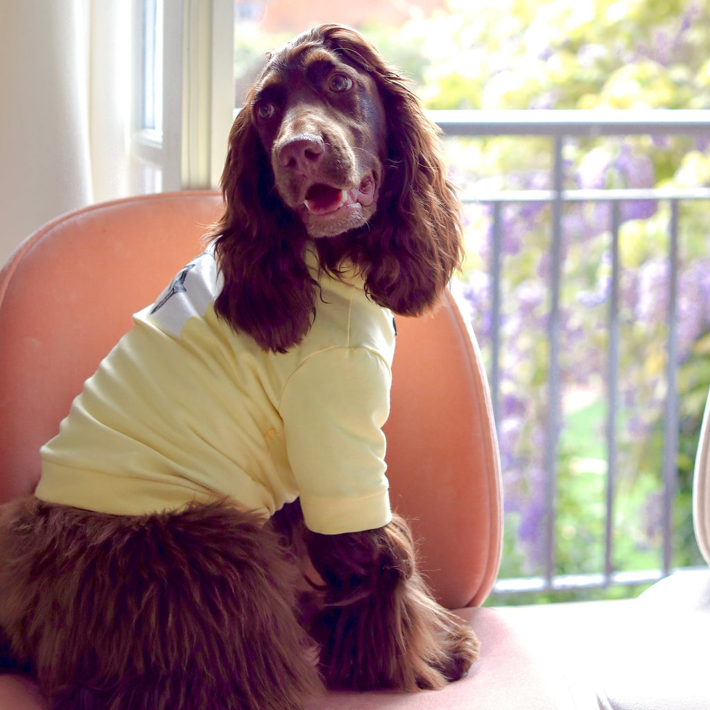 Skateboard Print Sweatshirt in Black and White