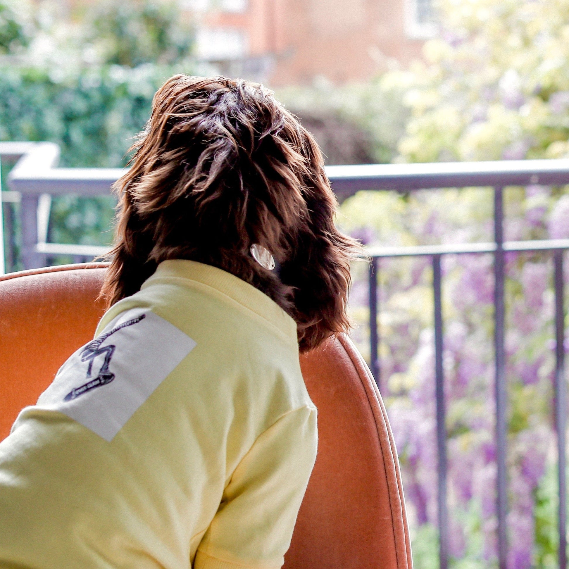 Skateboard Print Sweatshirt in Black and White