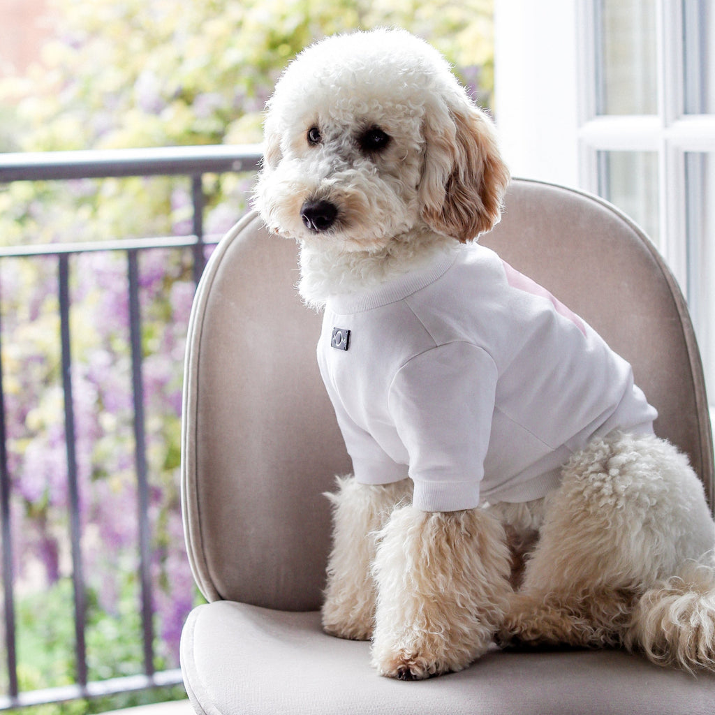 Skateboard Print Sweatshirt in Black and White