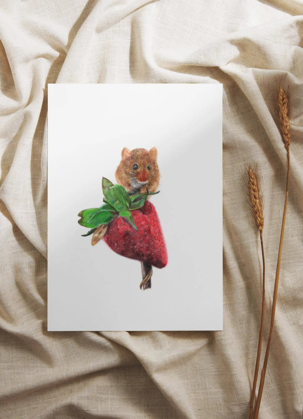 Harvest Mouse Print Hand Drawn Wildlife Wall Art A4