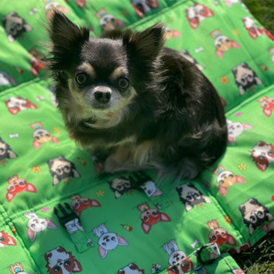 Roll and Go Signature Collection Garden Days Padded Chihuahua Print Travel Mat