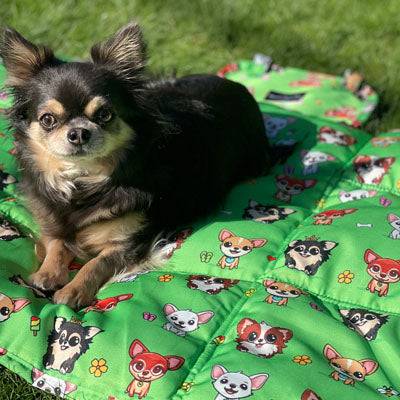 Roll and Go Signature Collection Garden Days Padded Chihuahua Print Travel Mat
