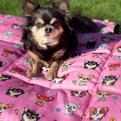 Roll and Go Signature Pink Padded Chihuahua Print Travel Mat