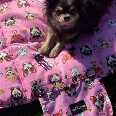 Roll and Go Signature Pink Padded Chihuahua Print Travel Mat