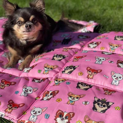 Roll and Go Signature Pink Padded Chihuahua Print Travel Mat