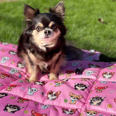 Roll and Go Signature Pink Padded Chihuahua Print Travel Mat