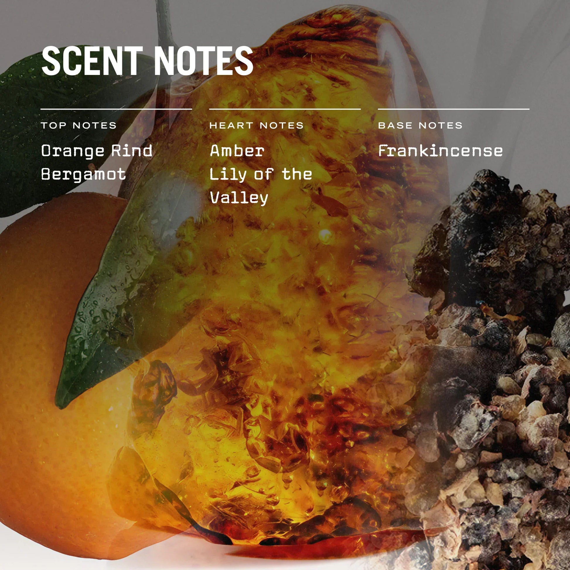 Reed Diffuser 100ml Luxor