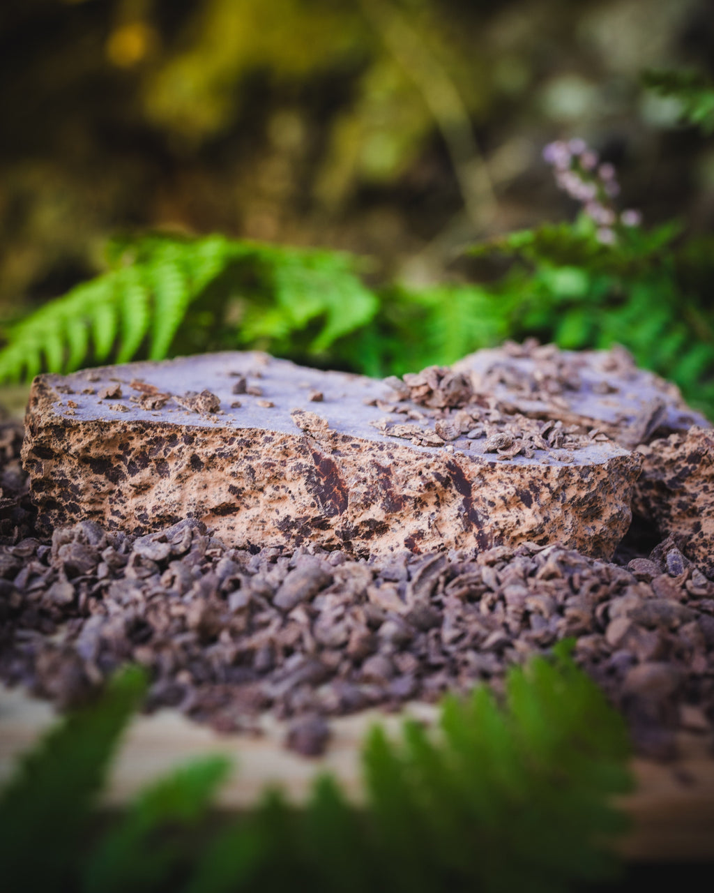 Ceremonial Cacao from the Solomon Islands