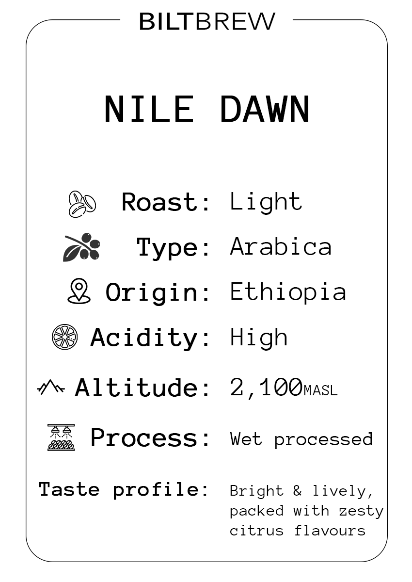 Nile Dawn Ethiopian Coffee Blend