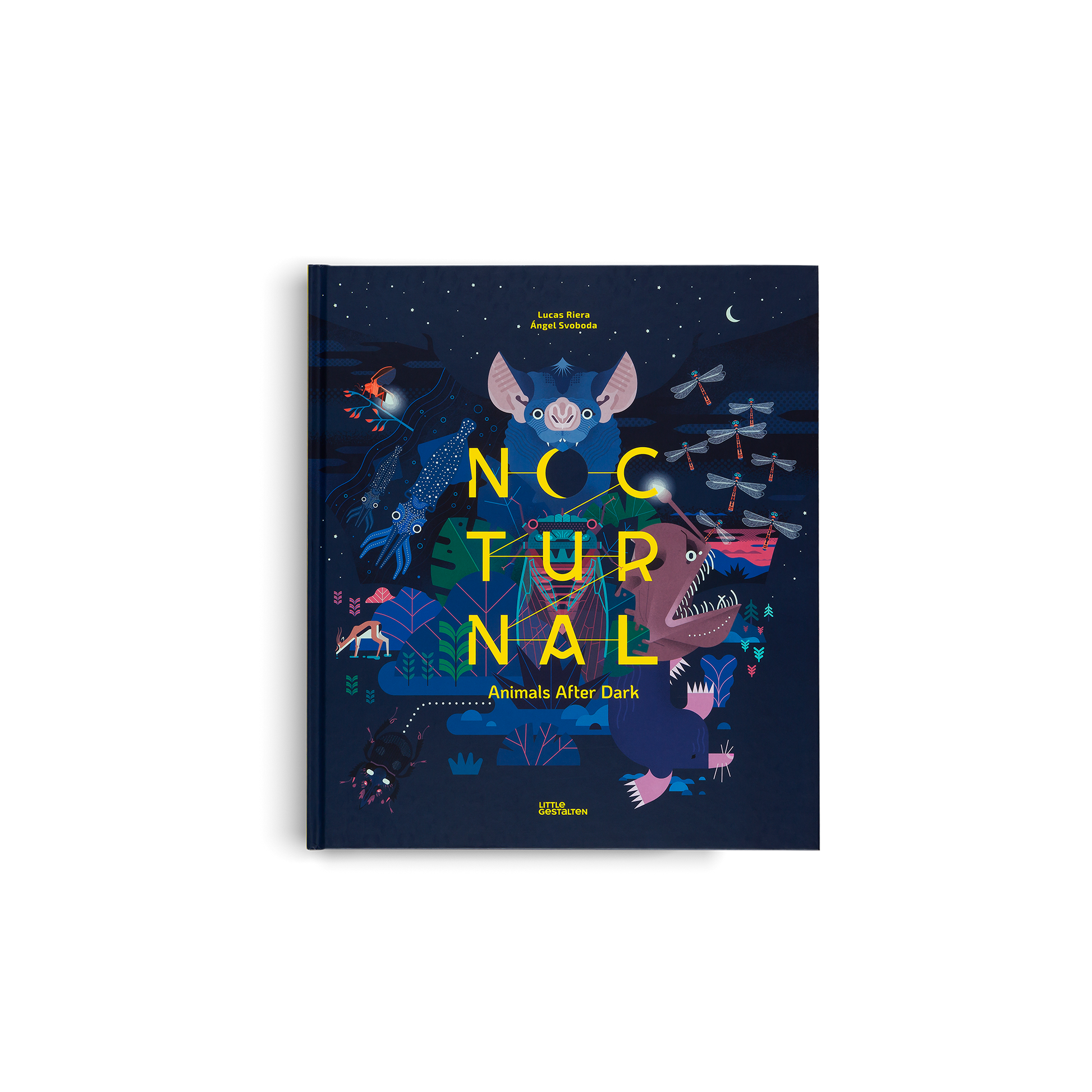 Nocturnal Animals After Dark