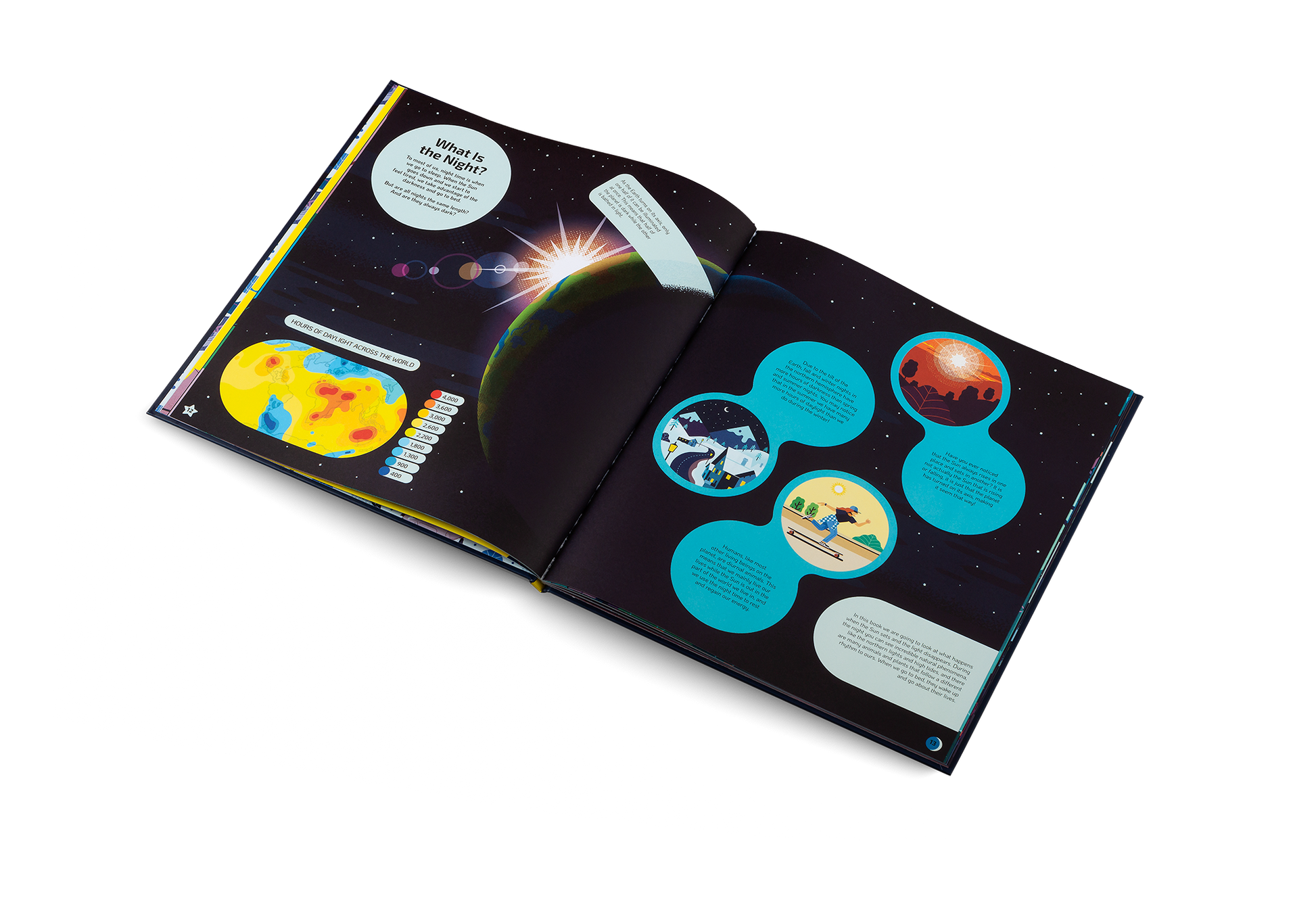 Nocturnal Animals After Dark