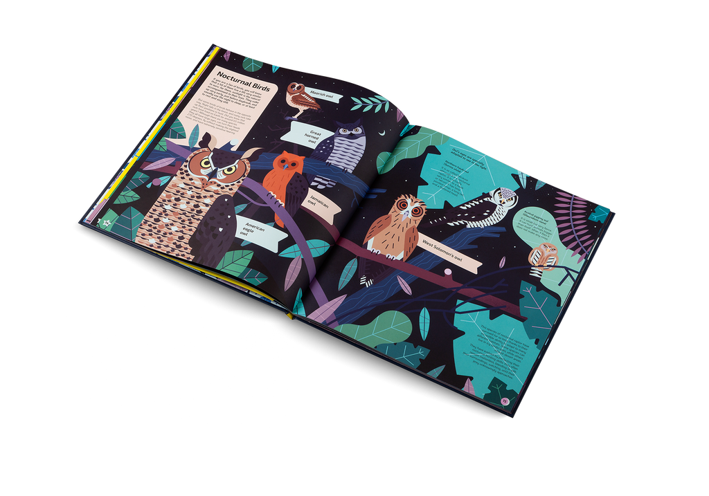 Nocturnal Animals After Dark