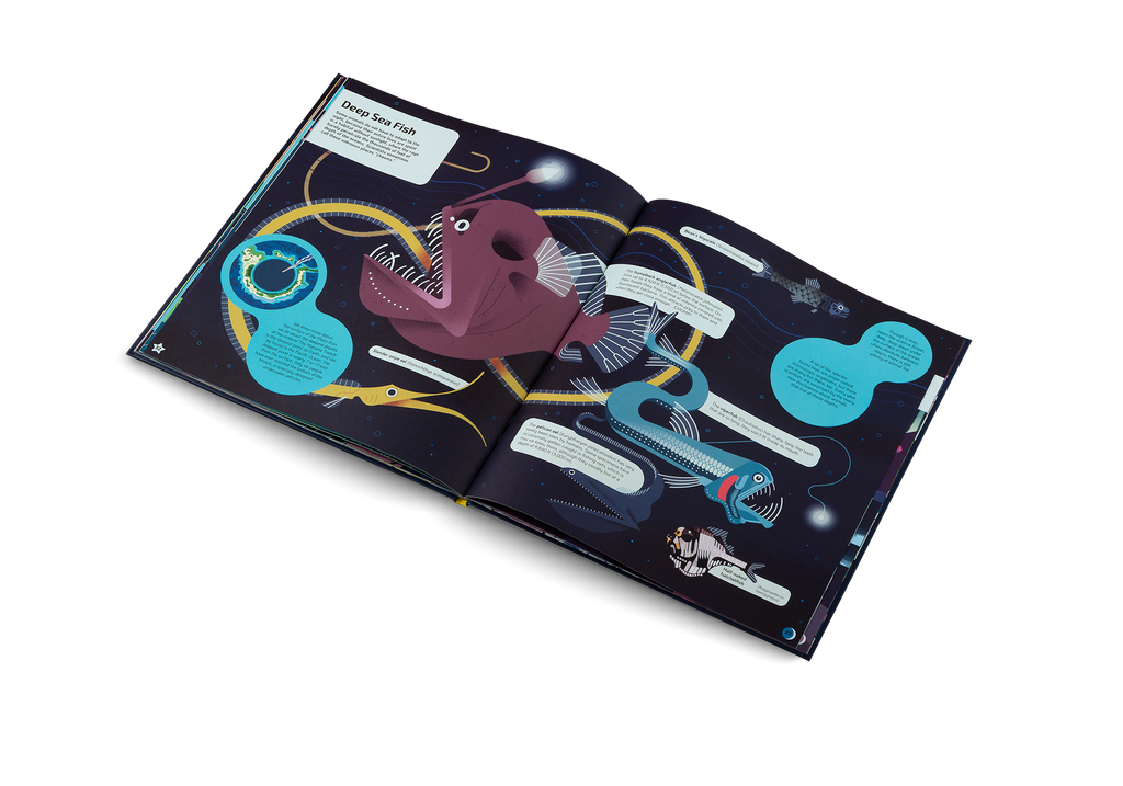 Nocturnal Animals After Dark