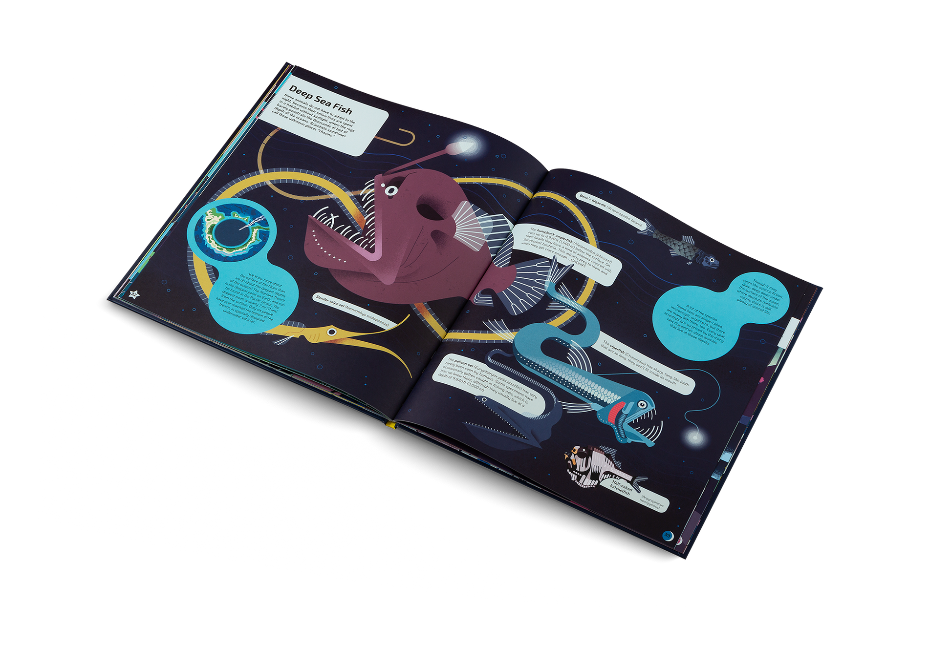 Nocturnal Animals After Dark