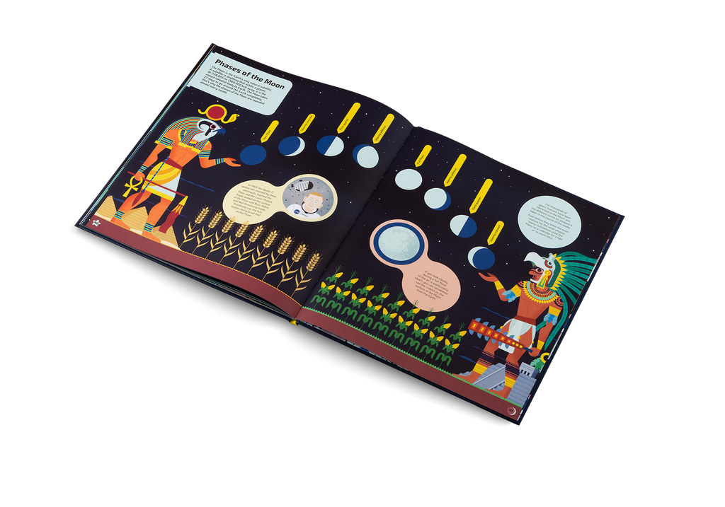 Nocturnal Animals After Dark