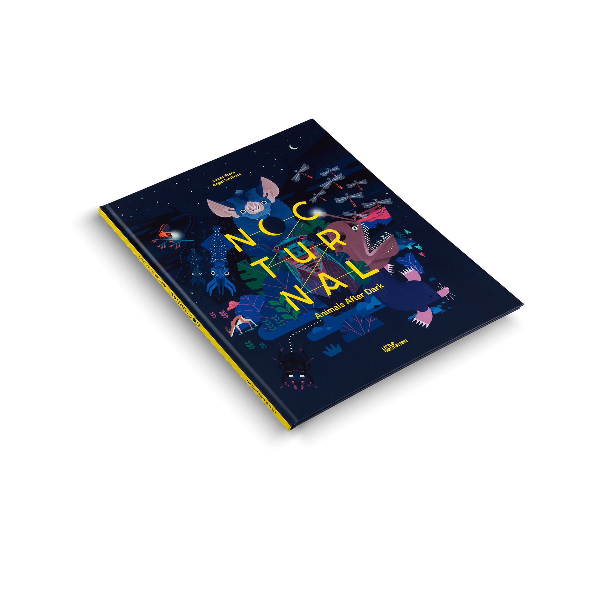 Nocturnal Animals After Dark