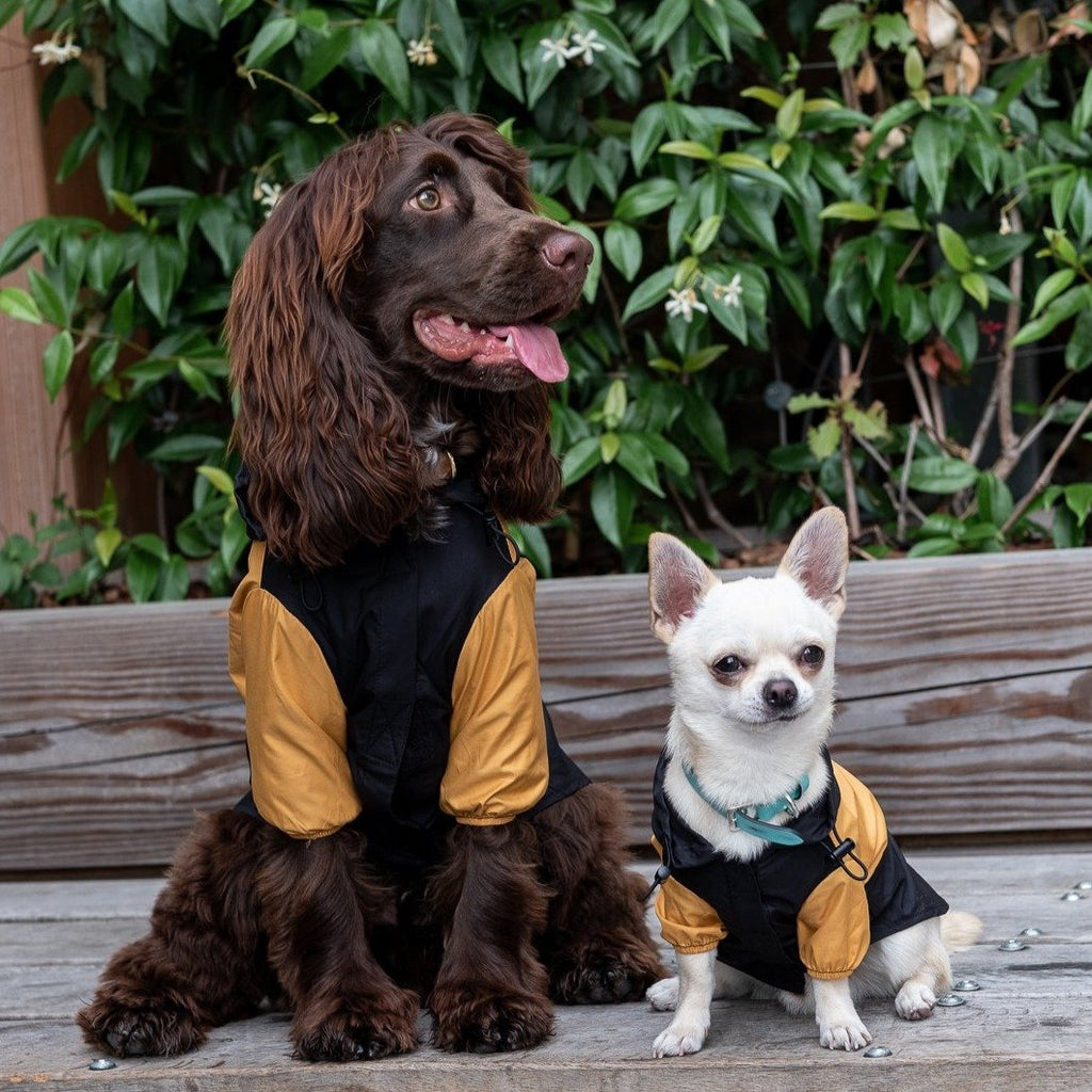 Contrast Thin Coat in Black and Yellow