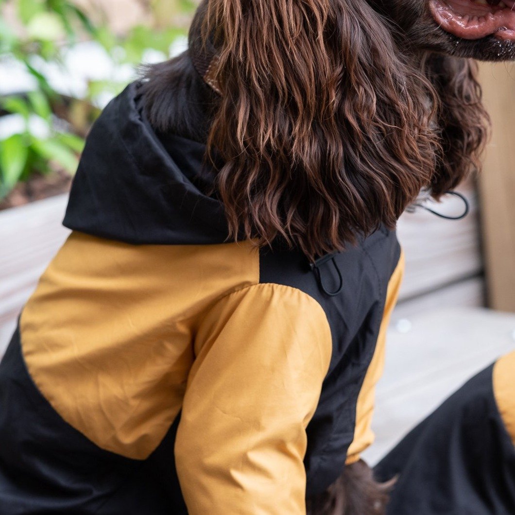 Contrast Thin Coat in Black and Yellow