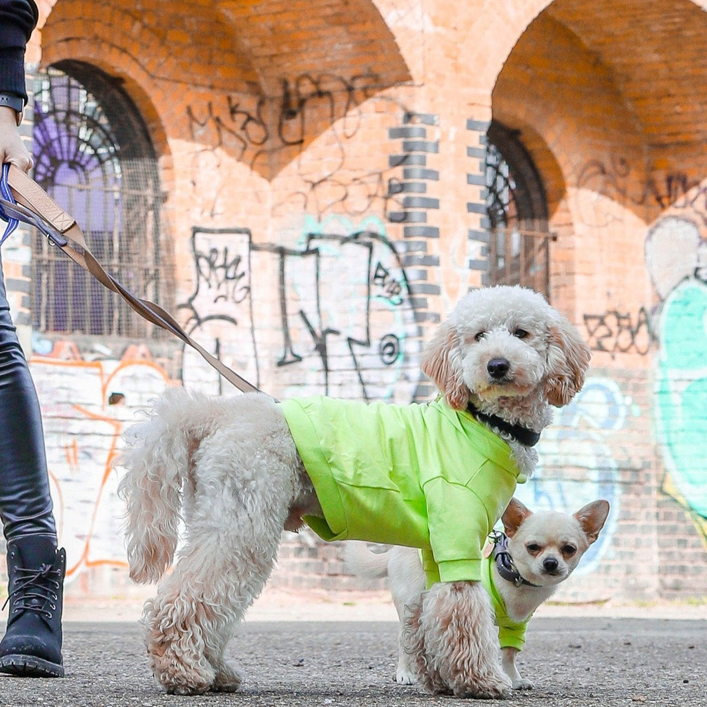 Super Hoodie in Bright Colours