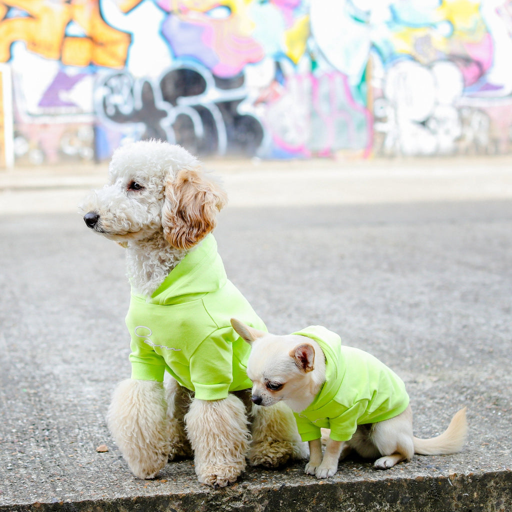 Super Hoodie in Bright Colours