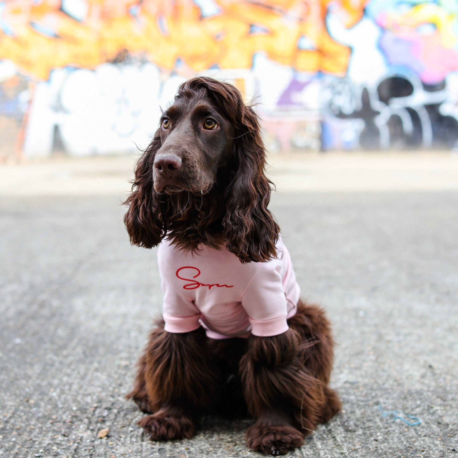 Super Hoodie in Bright Colours