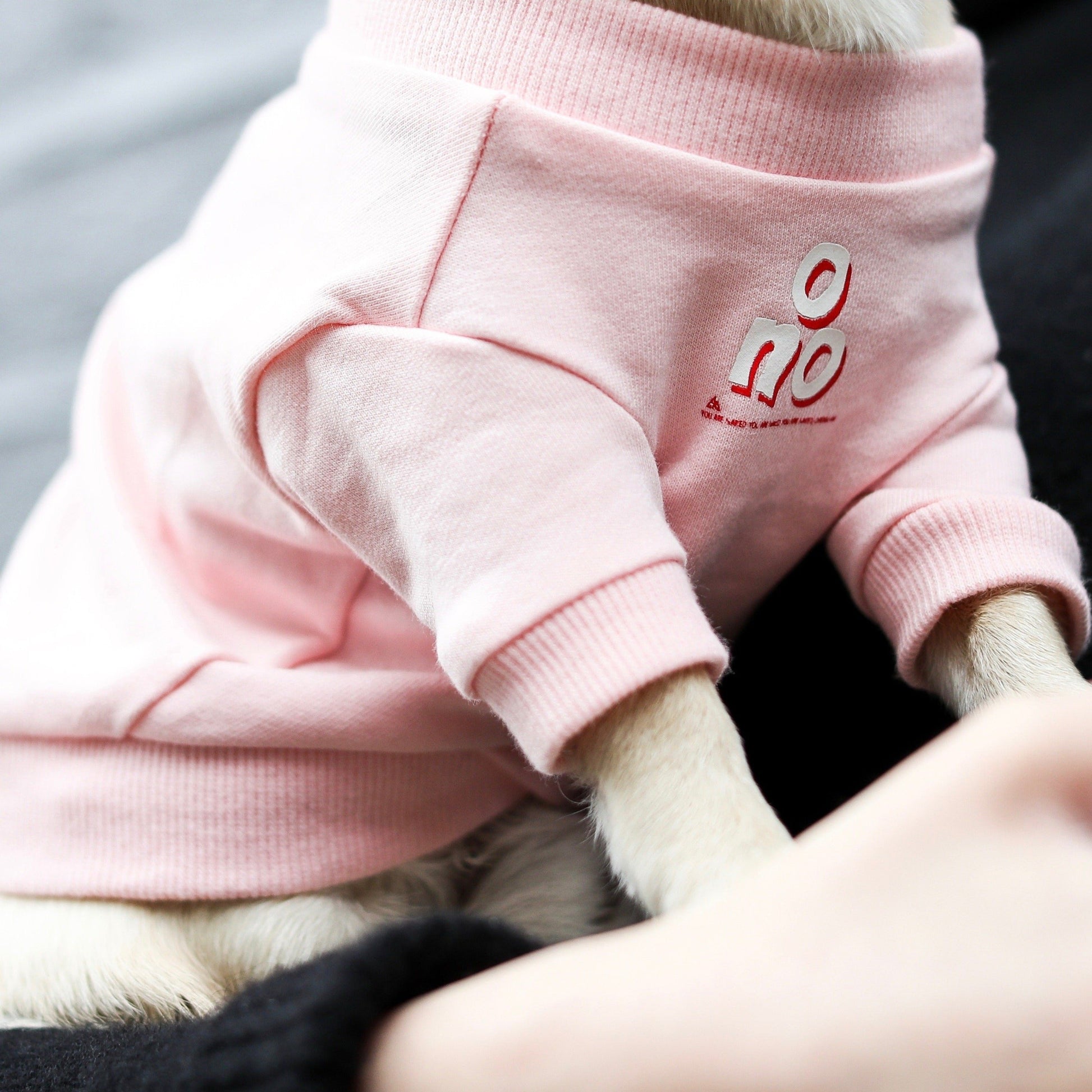 O NO Sweatshirt in Pink and Black