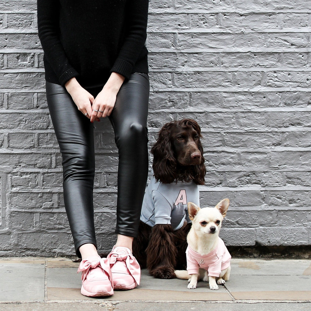 A Print Hoodie in Baby Blue or Brown