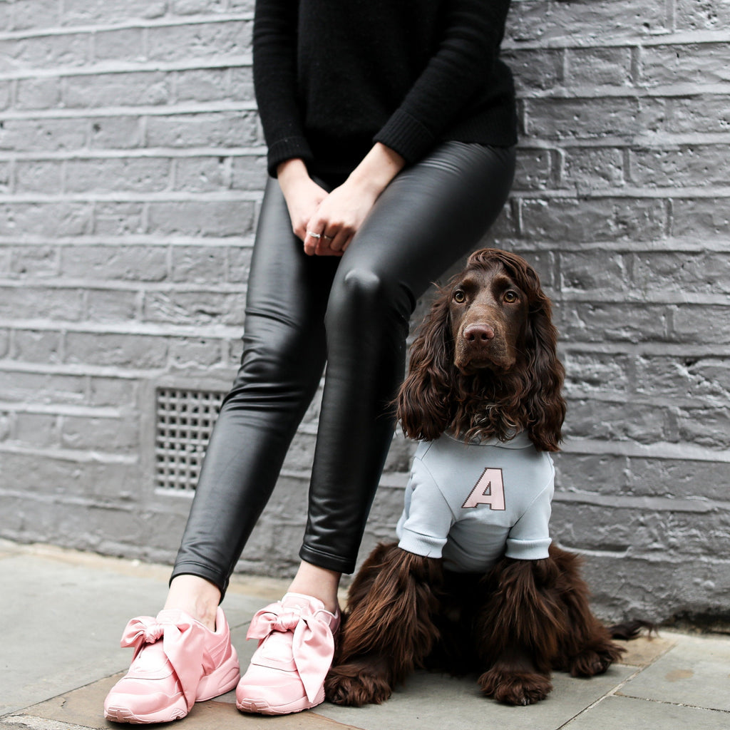 A Print Hoodie in Baby Blue or Brown