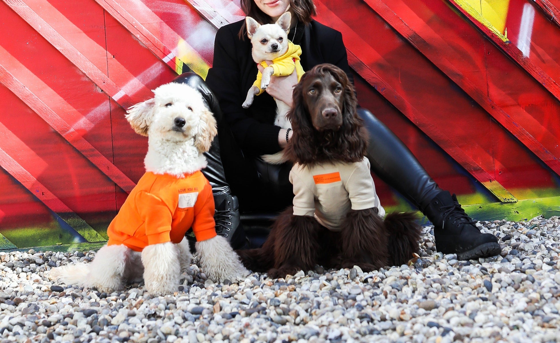 Love You All Sweatshirt with Dog Print