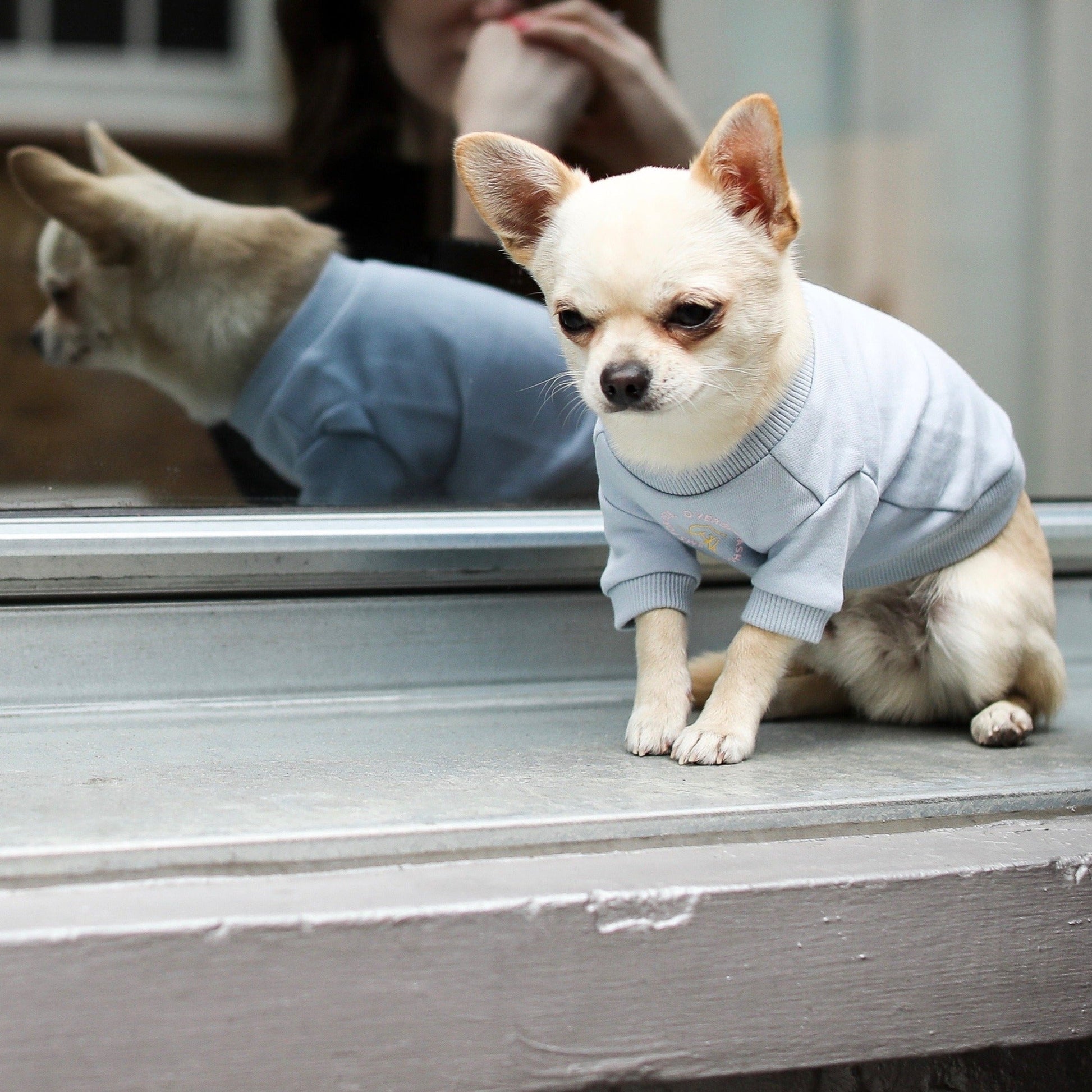 Printed Figure Sweatshirt in Blue and Pink