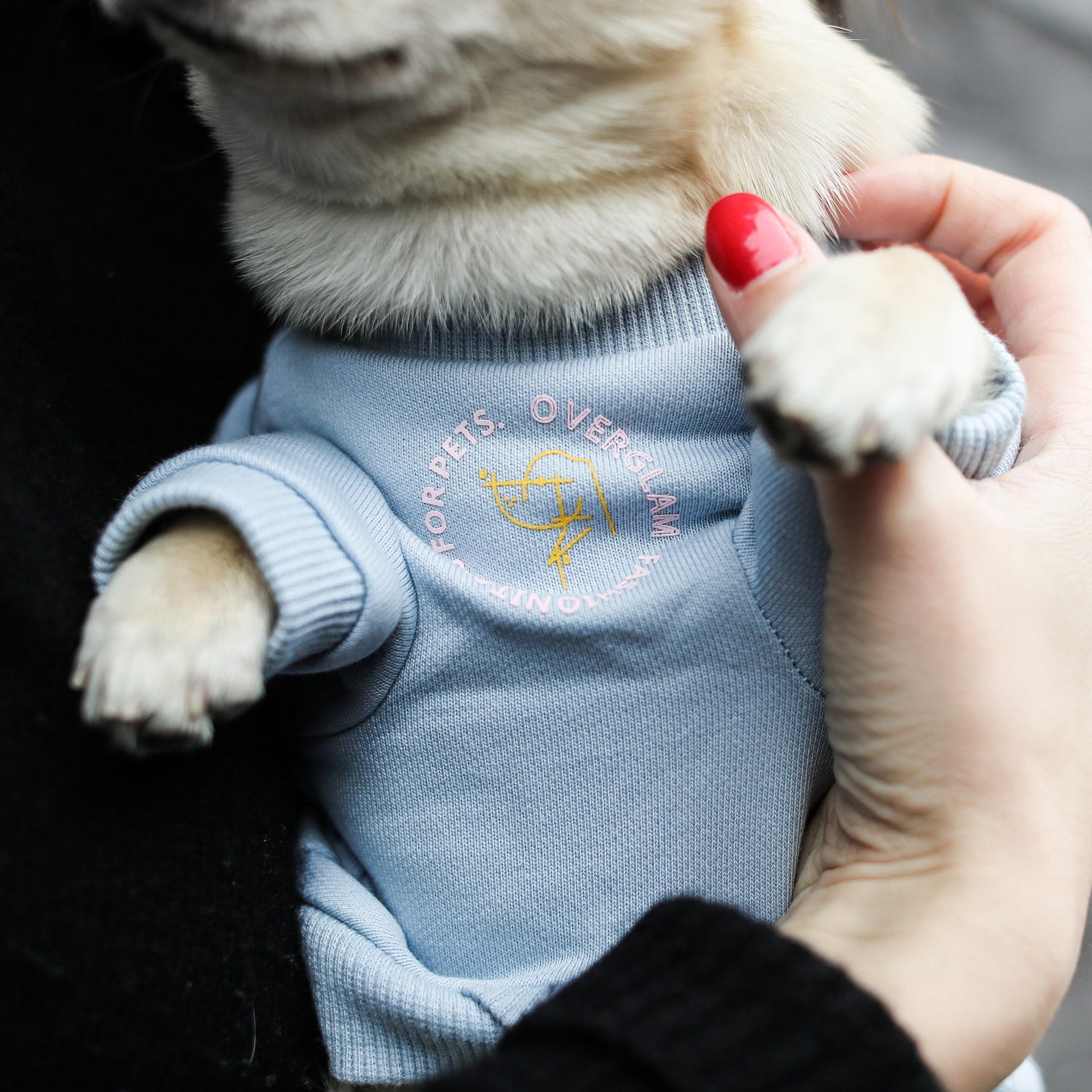 Printed Figure Sweatshirt in Blue and Pink