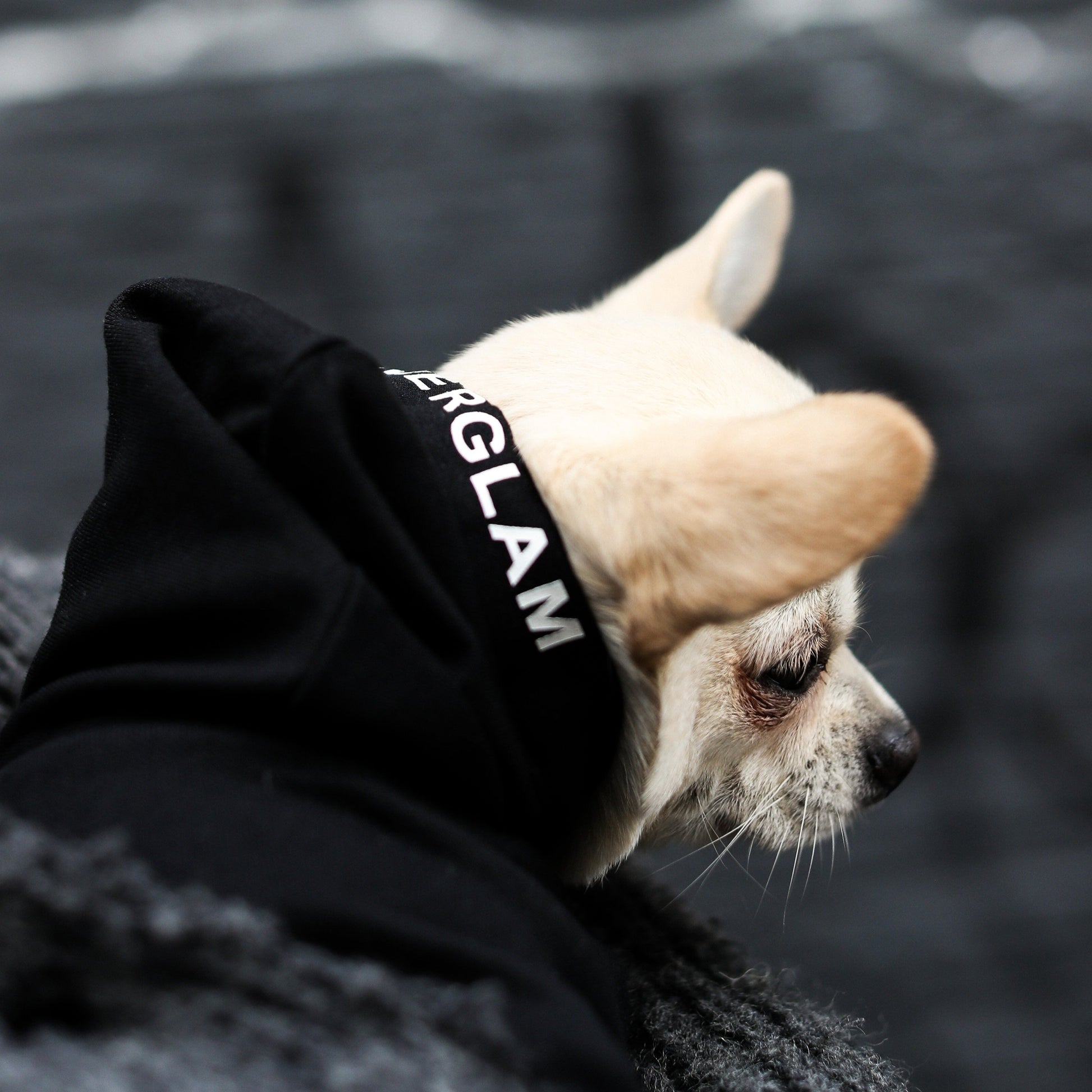 Overglam Print Hoodie in Black and Yellow