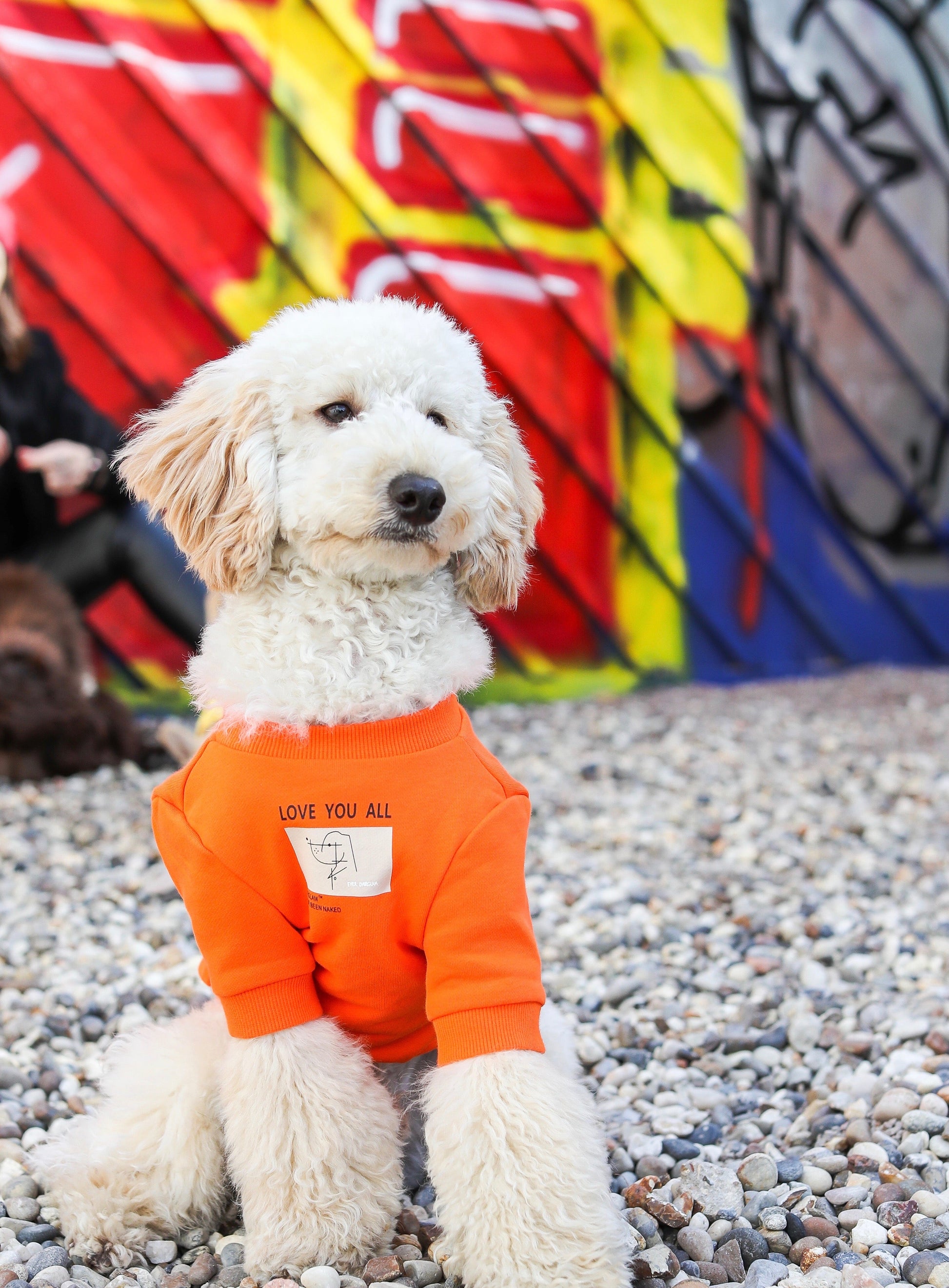 Love You All Sweatshirt with Dog Print