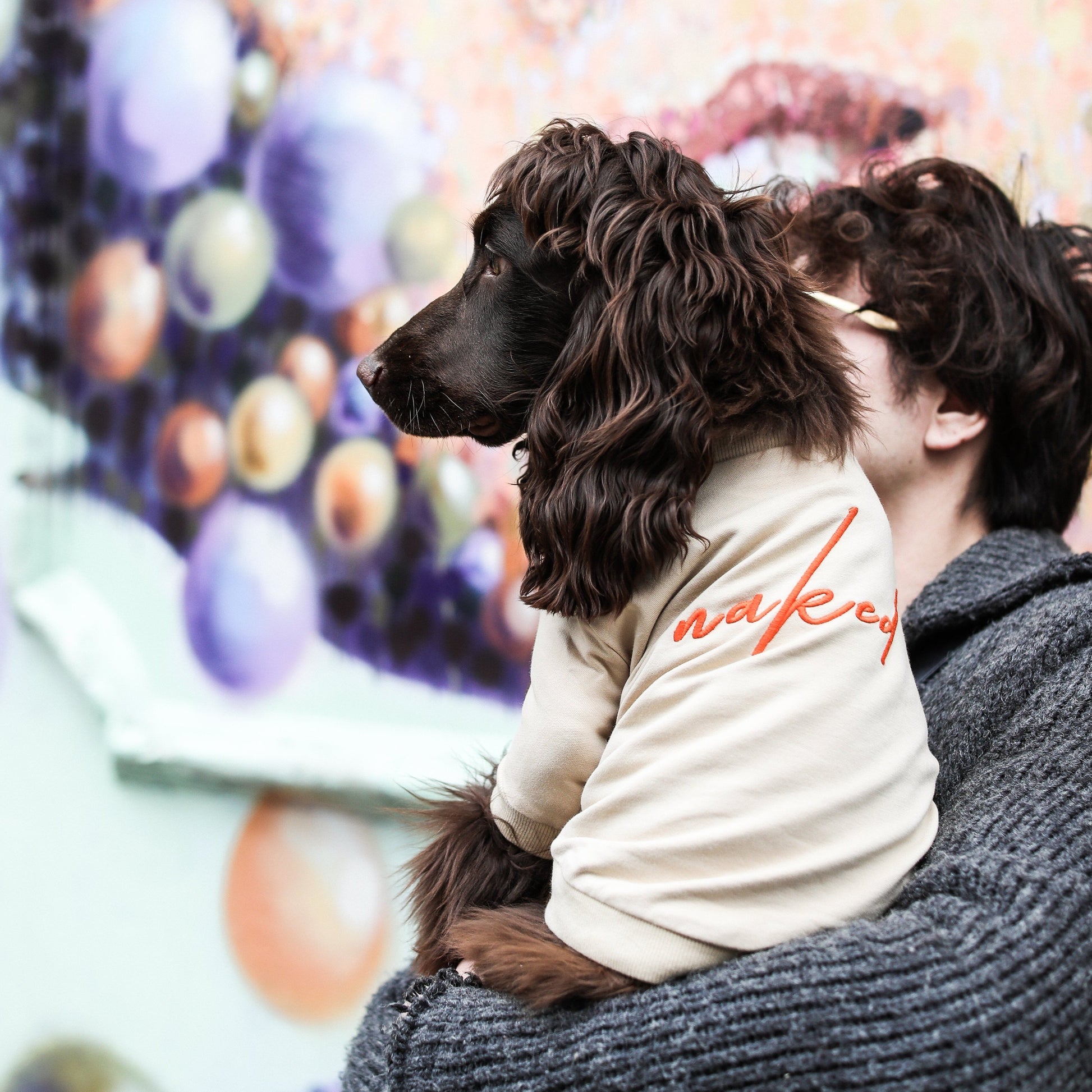 Naked Embroidered Sweatshirt in White and Apricot