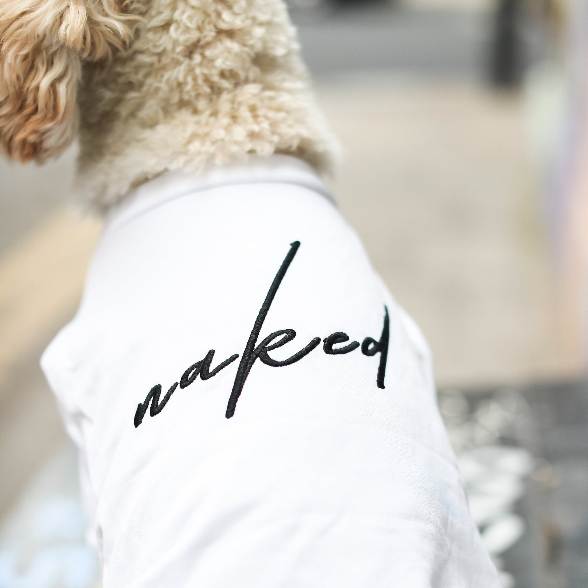 Naked Embroidered Sweatshirt in White and Apricot
