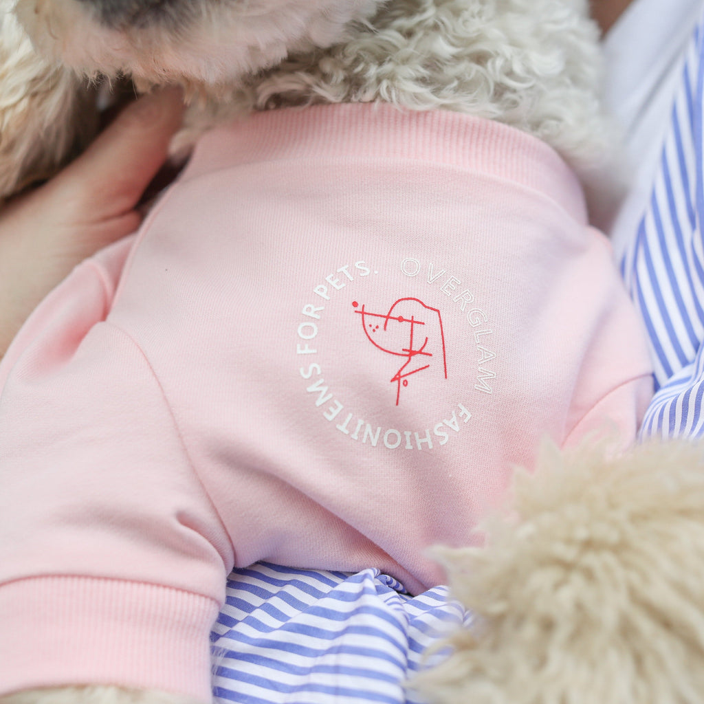 Printed Figure Sweatshirt in Blue and Pink