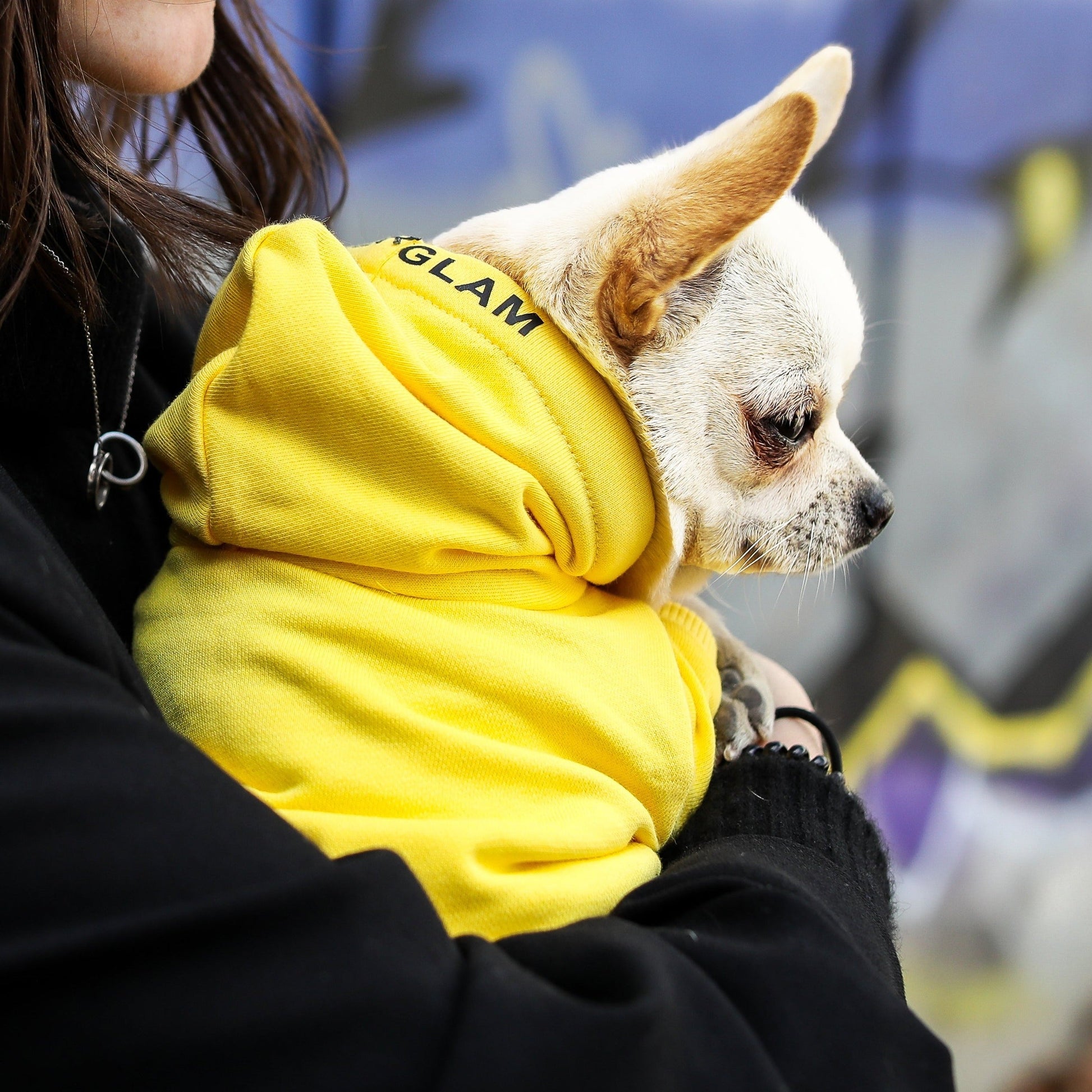 Overglam Print Hoodie in Black and Yellow