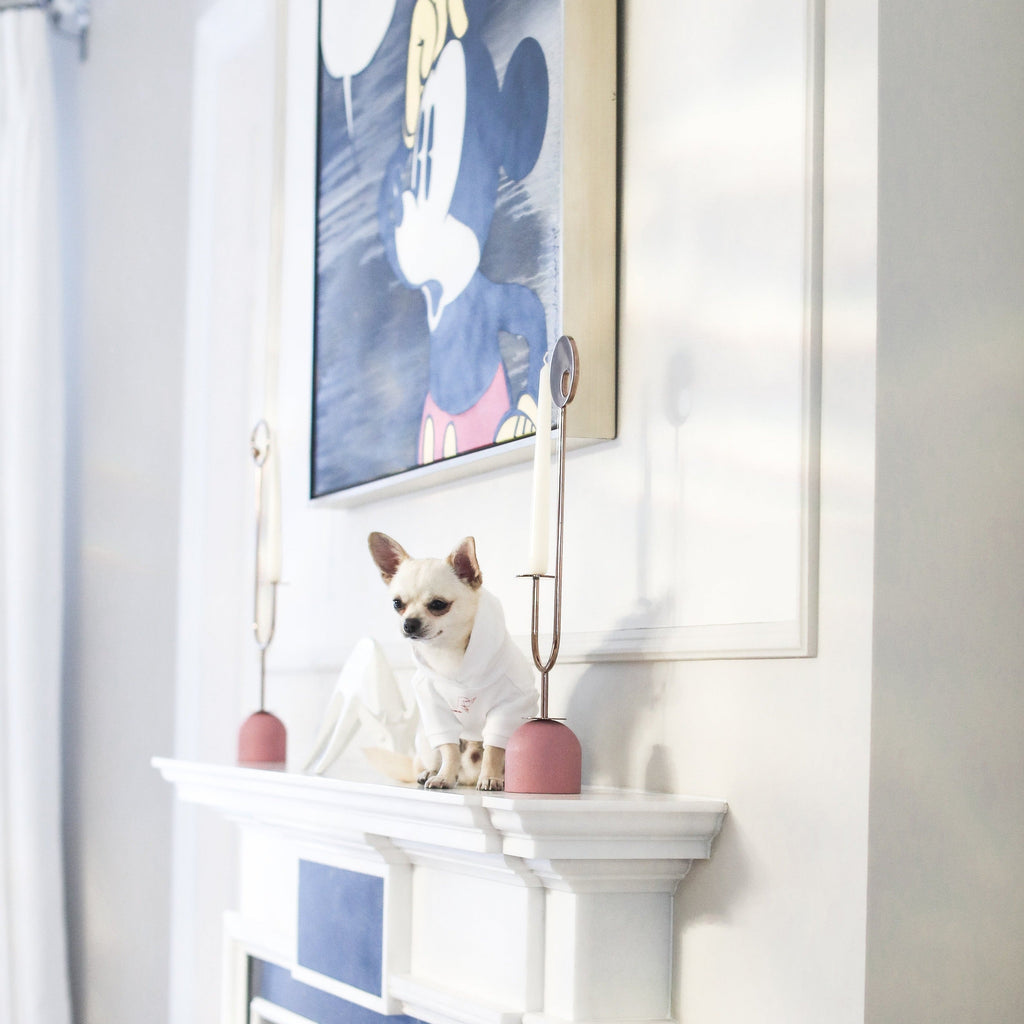 Stick Figure Hoodie in White and Mint Green