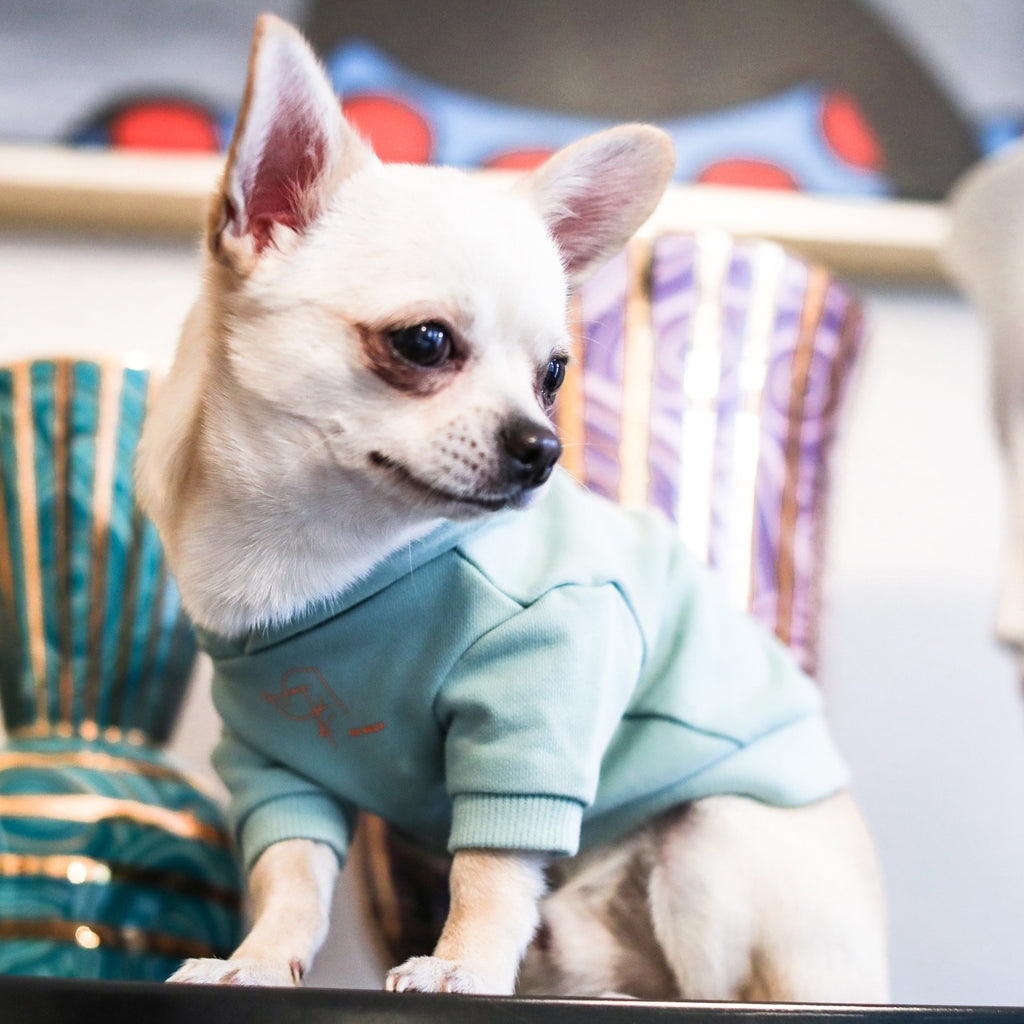 Stick Figure Hoodie in White and Mint Green