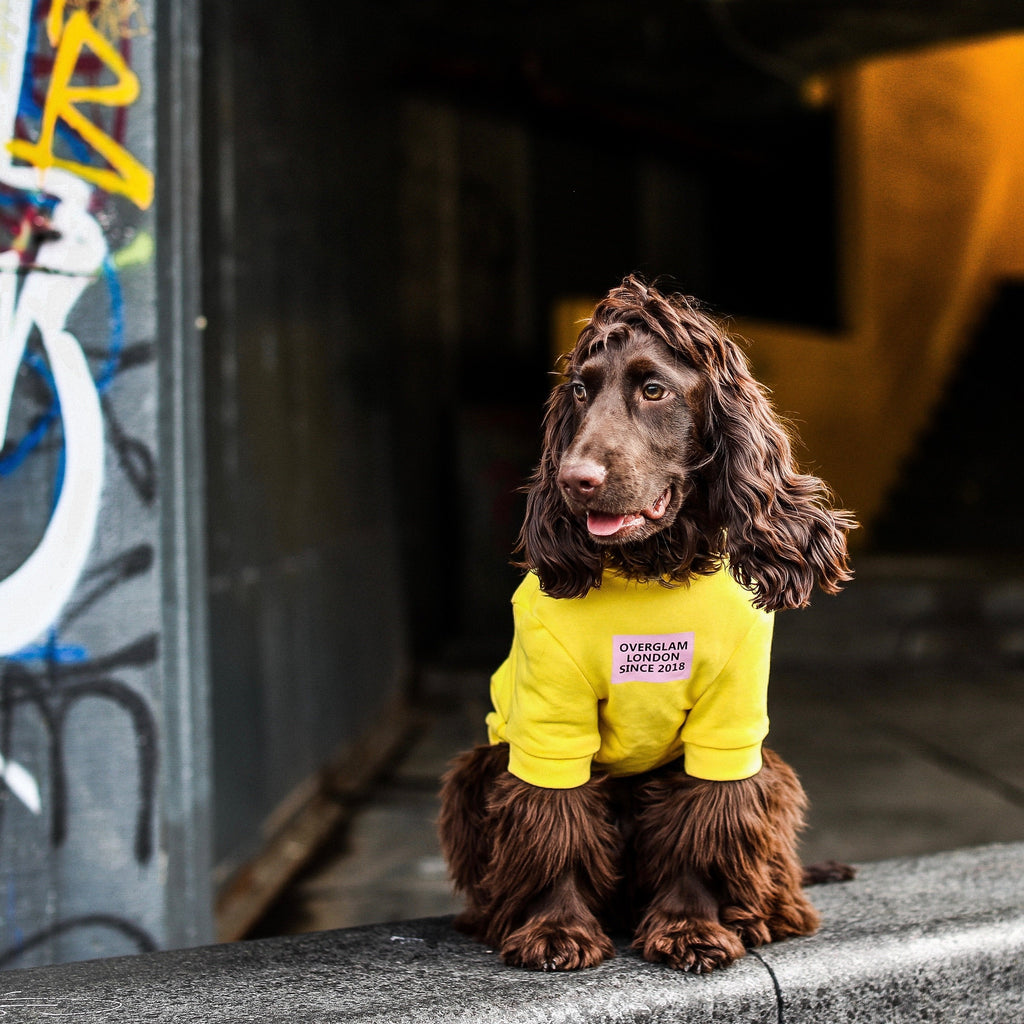 Overglam Print Hoodie