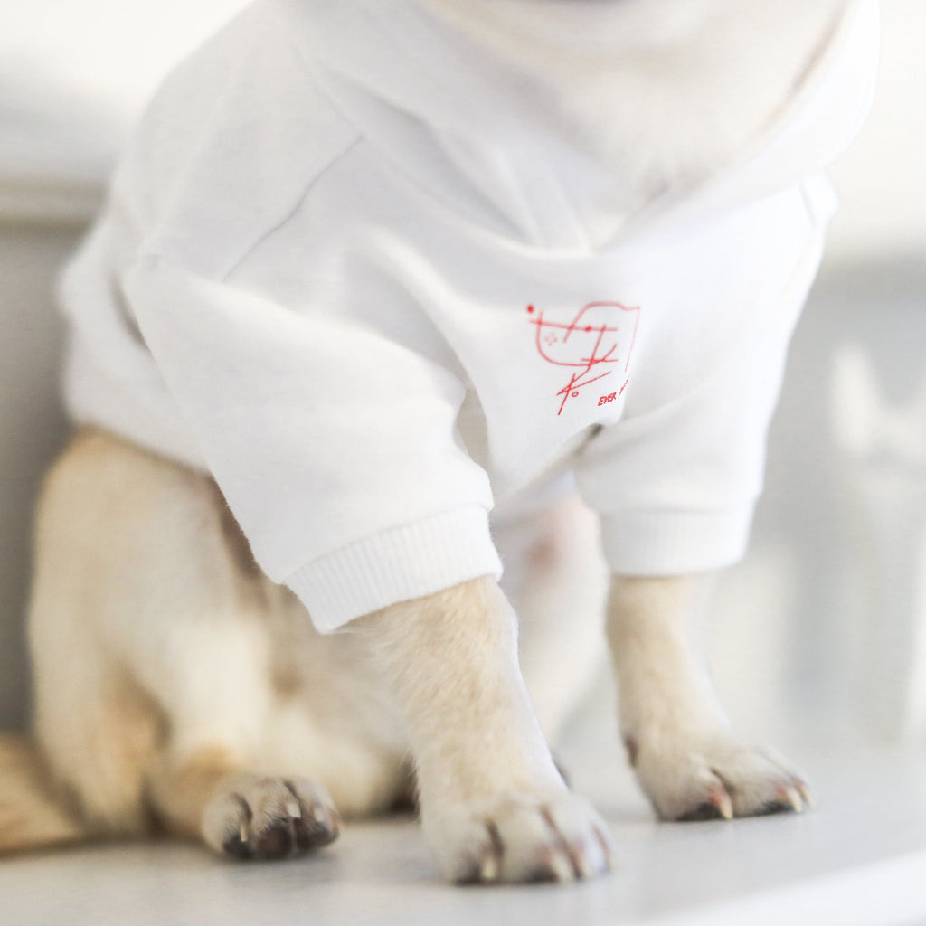 Stick Figure Hoodie in White and Mint Green