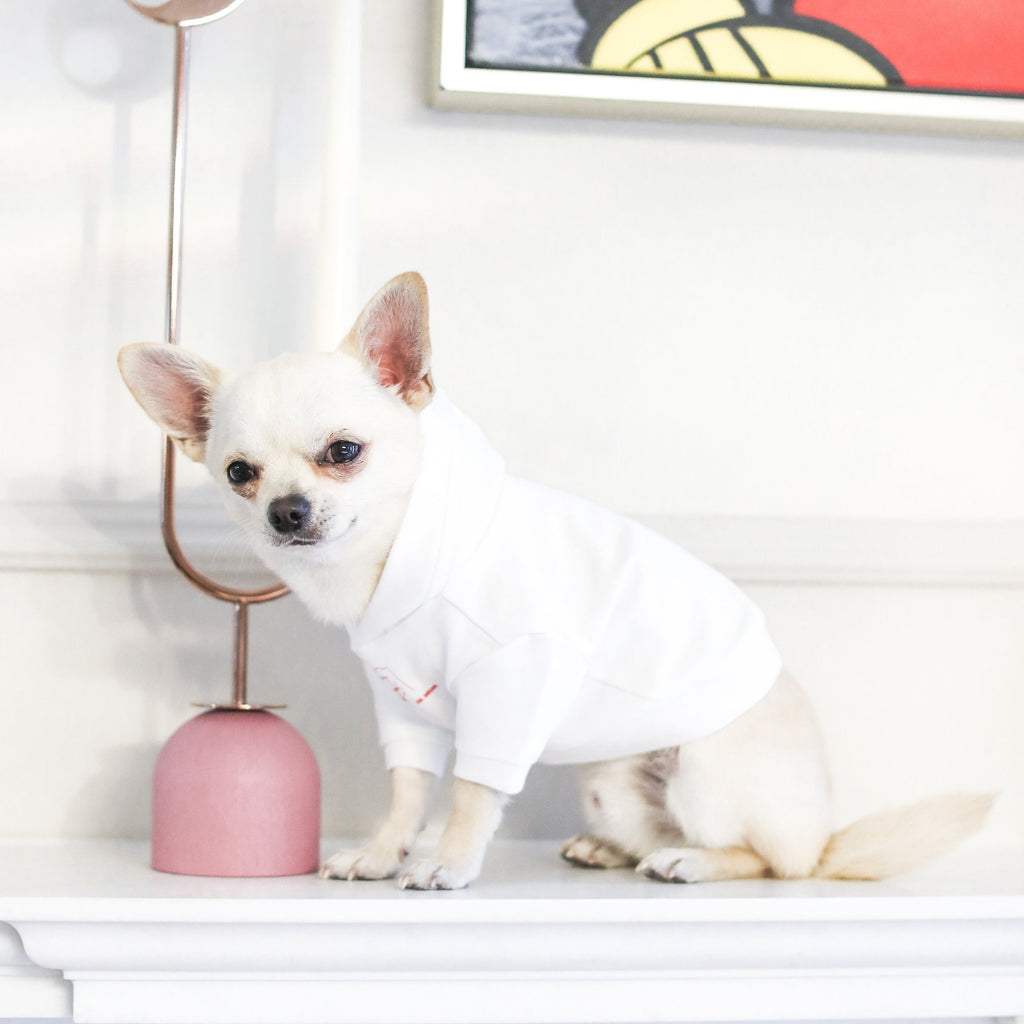 Stick Figure Hoodie in White and Mint Green