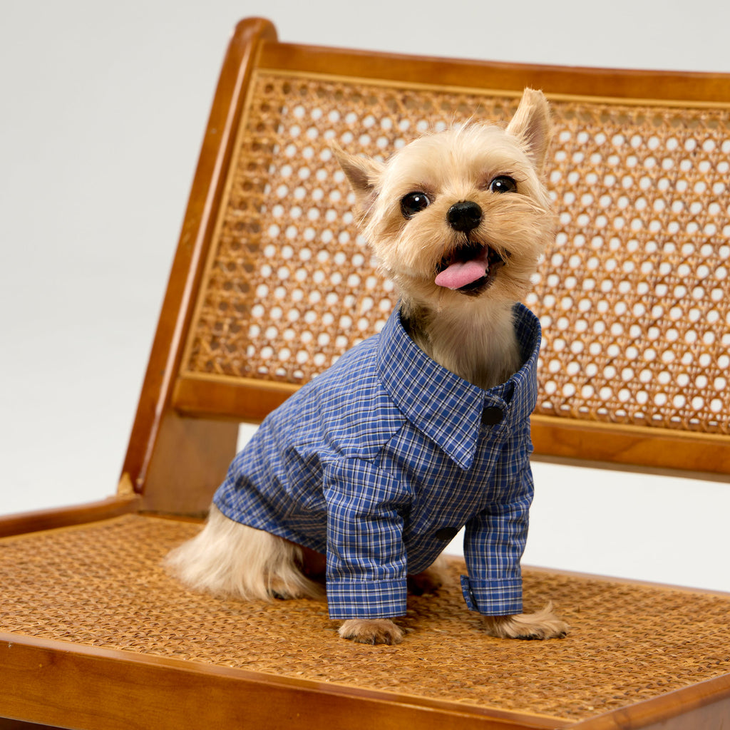 Blue Plaid Cotton Shirt