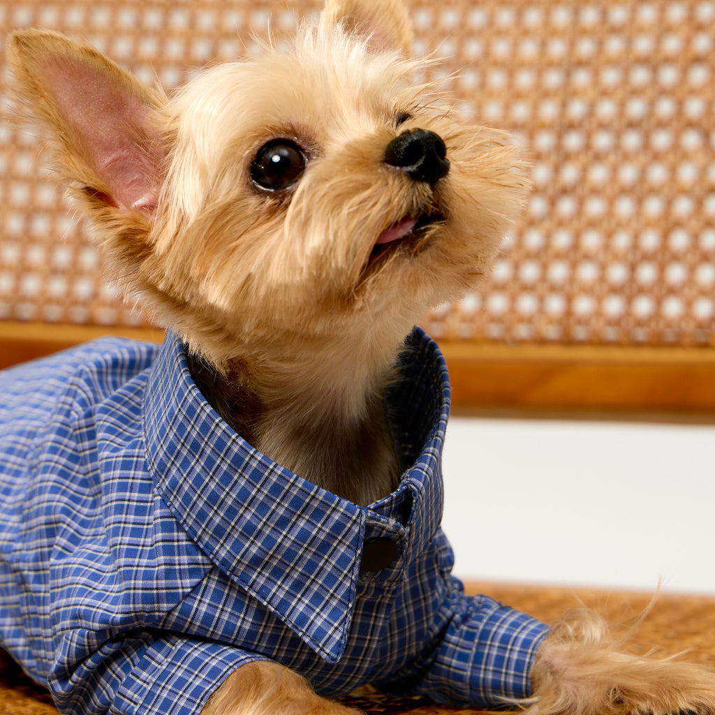 Blue Plaid Cotton Shirt