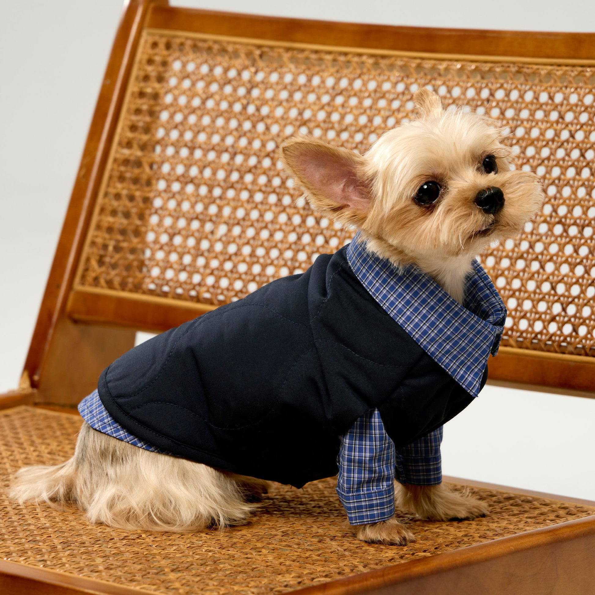 Sleeveless Bottom Up Puffer Jacket in Navy