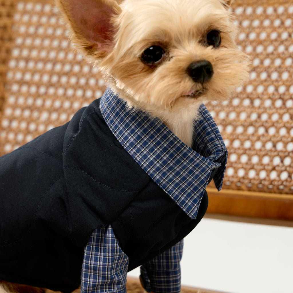 Blue Plaid Cotton Shirt