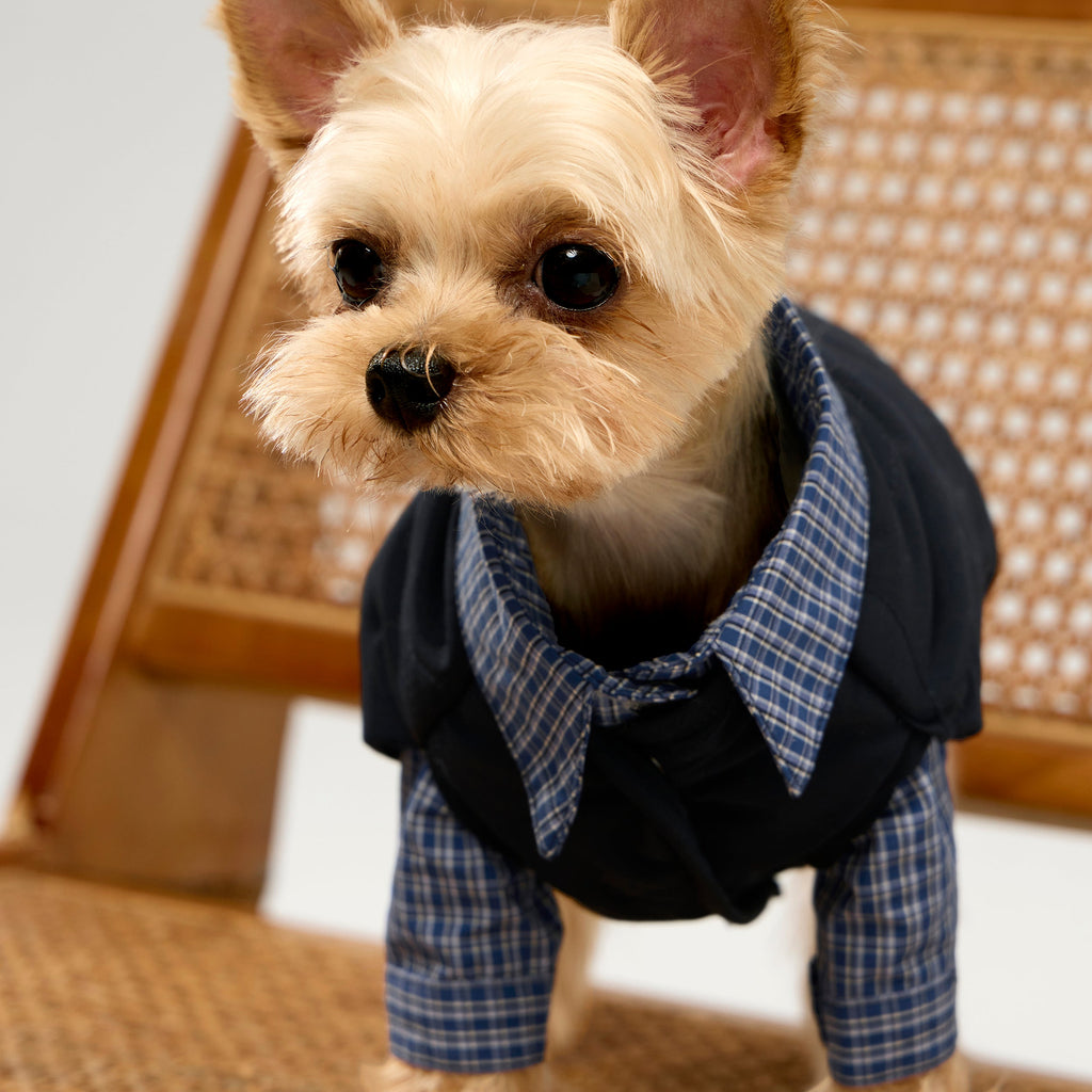 Sleeveless Bottom Up Puffer Jacket in Navy