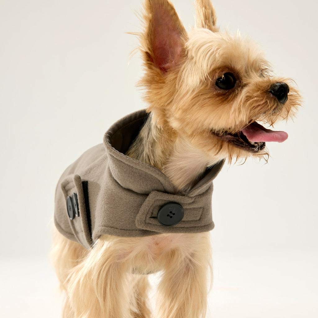 Adjustable Woolen Coat in Celadon Green