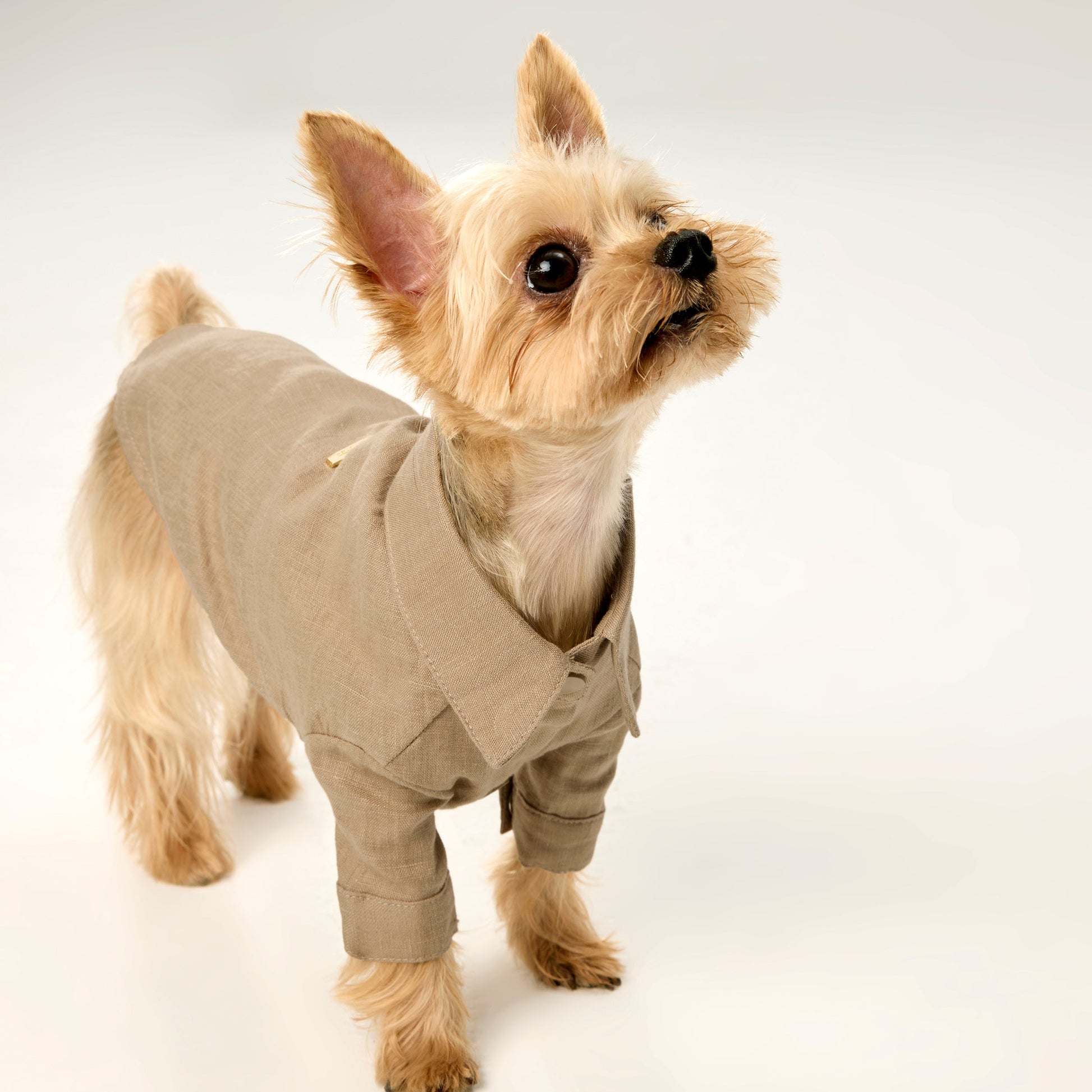 Pure Linen Shirt with Golden Buckle