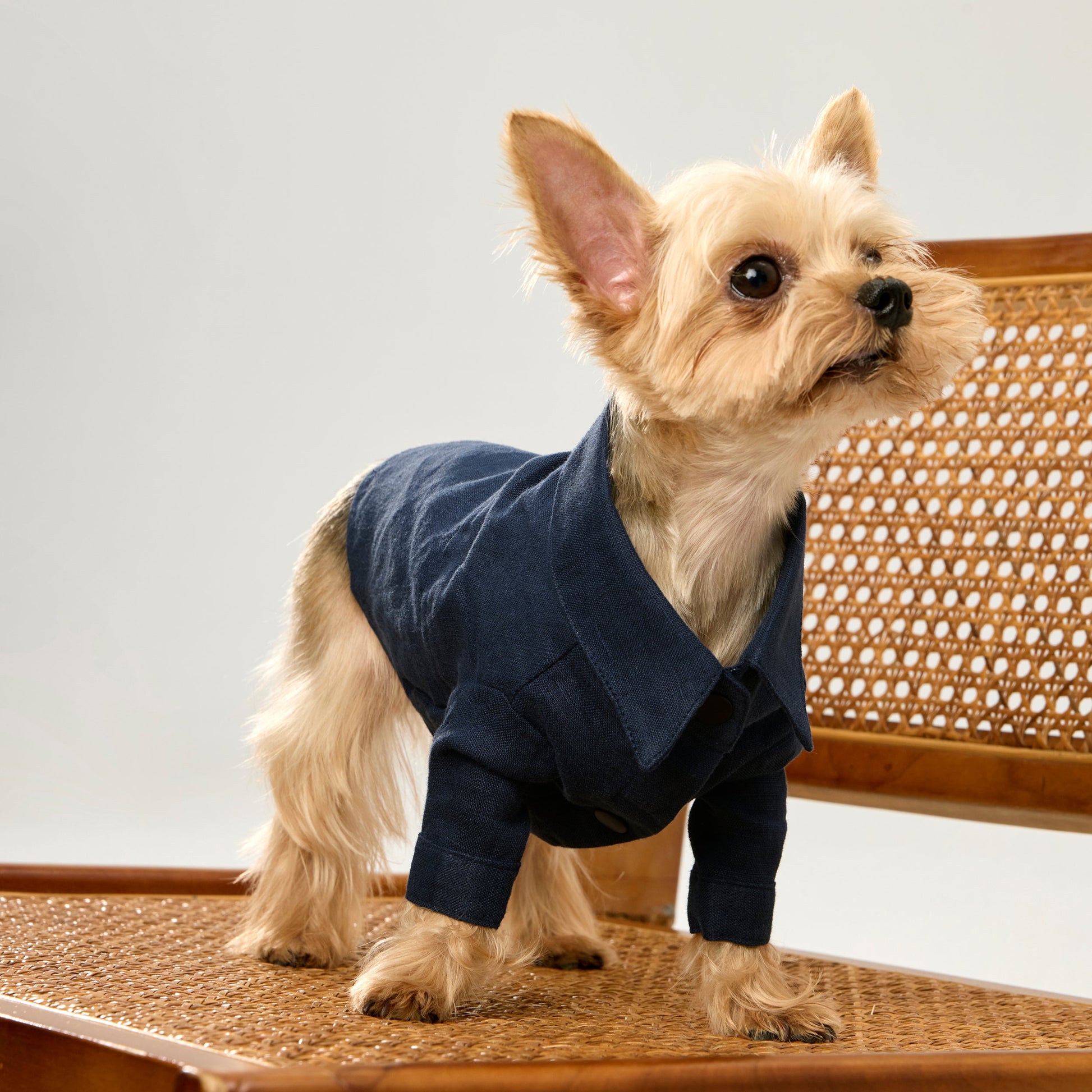 Pure Linen Shirt with Golden Buckle